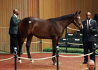 Keeneland September Sale Day 4 Wrap Keeneland September Sale Day 4 Wrap