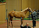 A.P. Indy Era Ends at September Yearling Sale A.P. Indy Era Ends at September Yearling Sale