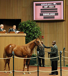 Smart Strike Colt Brings $900,0000 Smart Strike Colt Brings $900,0000