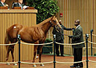 Smart Strike Colt Brings $900,0000 Smart Strike Colt Brings $900,0000