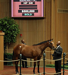 Tiznow Filly Fetches $500,000 at Keeneland Tiznow Filly Fetches $500,000 at Keeneland
