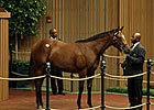 Tiznow Filly Fetches $500,000 at Keeneland