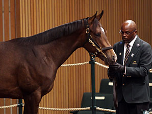 Japan-Bound Empire Maker Colt Brings $1.1M Japan-Bound Empire Maker Colt Brings $1.1M