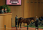 Market Stable Through Sept. Sale's Day 4 Market Stable Through Sept. Sale's Day 4