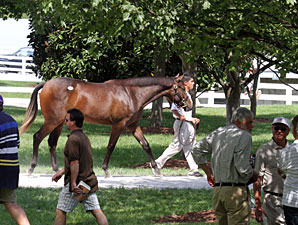 Keeneland's Sept. 15 Session Posts Huge Gains Keeneland's Sept. 15 Session Posts Huge Gains