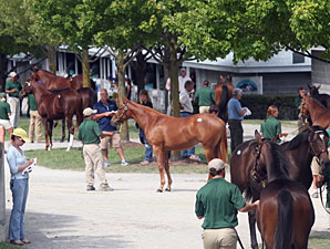 Book Three Ends with Solid Trade at Keeneland Book Three Ends with Solid Trade at Keeneland