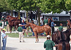 Book Three Ends with Solid Trade at Keeneland Book Three Ends with Solid Trade at Keeneland