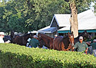 Sept. Sale: Pendulum Swings Back to New Sires Sept. Sale: Pendulum Swings Back to New Sires