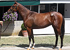 Kee Sept: Gainesway's Hernon on Hip #19 Kee Sept: Gainesway's Hernon on Hip #19