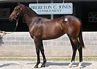 Keeneland Day Two Grosses $34.88 Million Keeneland Day Two Grosses $34.88 Million