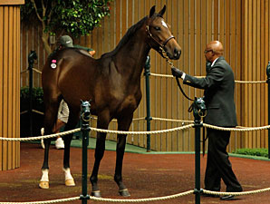 Bernardini Filly Sells for $1.3M at Keeneland Bernardini Filly Sells for $1.3M at Keeneland