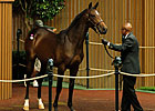 Bernardini Filly Sells for $1.3M at Keeneland Bernardini Filly Sells for $1.3M at Keeneland