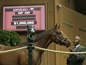 Smart Strike Colt Sells for $1M at Keeneland