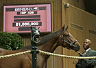 Smart Strike Colt Sells for $1M at Keeneland Smart Strike Colt Sells for $1M at Keeneland
