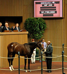 Torrealba Buys Tiznow Filly for $1.75 Million Torrealba Buys Tiznow Filly for $1.75 Million