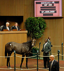 Coolmore Buys Galileo Colt for $1.4 Million Coolmore Buys Galileo Colt for $1.4 Million