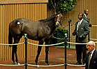 Coolmore Buys Galileo Colt for $1.4 Million Coolmore Buys Galileo Colt for $1.4 Million