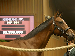 High-End Buys Keep Keeneland Sale Hopping High-End Buys Keep Keeneland Sale Hopping