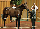 Tapit Colt First Over $1 Million on Day Four Tapit Colt First Over $1 Million on Day Four