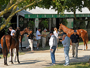 Keeneland Sale Numbers Still Well Above 2012 Keeneland Sale Numbers Still Well Above 2012