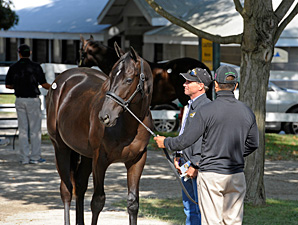 Sales Remain Strong Into Keeneland Session 11 Sales Remain Strong Into Keeneland Session 11