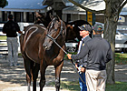 Sales Remain Strong Into Keeneland Session 11 Sales Remain Strong Into Keeneland Session 11