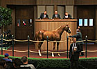 Young Sire Revival - by Eric Mitchell Young Sire Revival - by Eric Mitchell