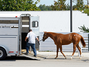 Industry Finds Solid Footing at Keeneland Industry Finds Solid Footing at Keeneland
