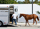 Industry Finds Solid Footing at Keeneland Industry Finds Solid Footing at Keeneland