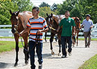 Keeneland September Sale Set to Test Market Keeneland September Sale Set to Test Market