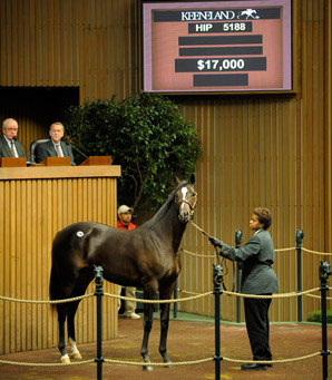 Keeneland Sale Ends With Major Declines Keeneland Sale Ends With Major Declines