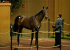  Unbridled's Song Filly Brings $1 Million