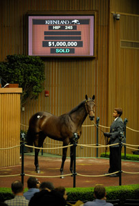 Unbridled's Song Filly Brings $1 Million Unbridled's Song Filly Brings $1 Million