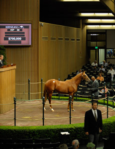 Speightstown Yearling Colt Brings $700,000 Speightstown Yearling Colt Brings $700,000