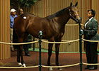 Bernardini Colt Brings $925,000 at Keeneland Bernardini Colt Brings $925,000 at Keeneland