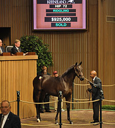 Leon Picks Up Street Cry Colt for $925,000 Leon Picks Up Street Cry Colt for $925,000