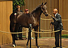 Leon Picks Up Street Cry Colt for $925,000