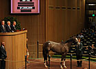 Unbridled's Song Filly Brings $1 Million