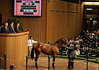 Shadwell Gets Dynaformer Colt for $725,000