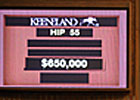 Ferguson Buys Street Sense Filly for $650,000
