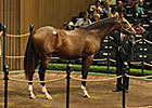 A.P. Indy Colt Rings $1.4M Bell at Keeneland A.P. Indy Colt Rings $1.4M Bell at Keeneland