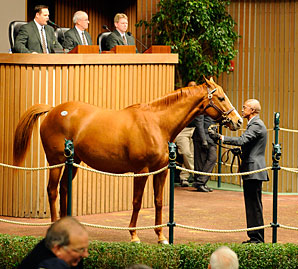 Keeneland Sale Continues to Surge Keeneland Sale Continues to Surge