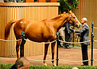 Keeneland Sale Continues to Surge Keeneland Sale Continues to Surge