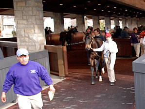 Saint Liam Colt Brings $220,000 Saint Liam Colt Brings $220,000