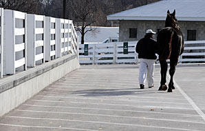 Gross, Average Fall at Keeneland Gross, Average Fall at Keeneland