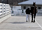 Gross, Average Fall at Keeneland Gross, Average Fall at Keeneland
