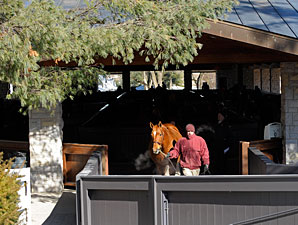 Keeneland Final Gross Down 53.4% Keeneland Final Gross Down 53.4%
