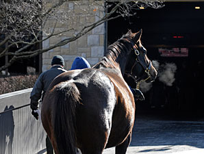 Keeneland Numbers Decline Once Again Keeneland Numbers Decline Once Again