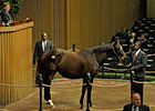 Downward Spiral Continues at Keeneland Downward Spiral Continues at Keeneland