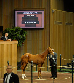 Market Remains Down at Keeneland Market Remains Down at Keeneland
